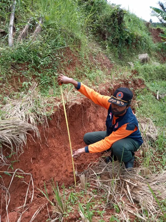 Tanah terbelah 100 meter mengancam permukiman dan sawah di Desa Kutaagung, Dayeuhluhur, Cilacap, Jawa Tengah. (Foto: Liputan6.com/BPBD Cilacap)