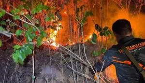 Kebakaran Hutan Pinus Butak Meluas, Api Mendekati Permukiman
