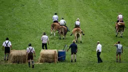 Sejumlah petani berusaha mengendalikan sapi mereka saat ikut ambil bagian dalam lomba balapan sapi tradisional di Desa Bavarian, dekat Danau Starnberg, Jerman, Minggu (28/8). (AP Photo/Matthias Schrader)