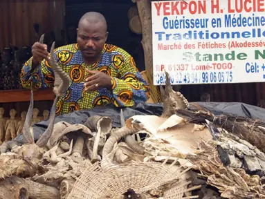 Lucien Yekpon, seorang dukun Lome berdiri di depan lapak dagangannya di pasar jimat Akodessewa di Togo, Afrika, 5 Agustus 2015. Pasar ini menjual berbagai benda-benda klenik dan juga peralatan sihir. (AFP PHOTO/EMILE KOUTON) 