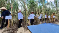 Menko Zulhas Targetkan Produksi Gula di Sumut Meningkat 100 Persen