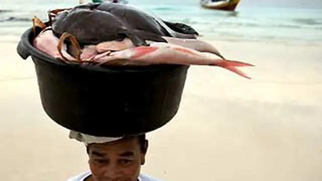 Tanpa Pesisir, Begini Indahnya Pantai Apparalang di Bulukumba