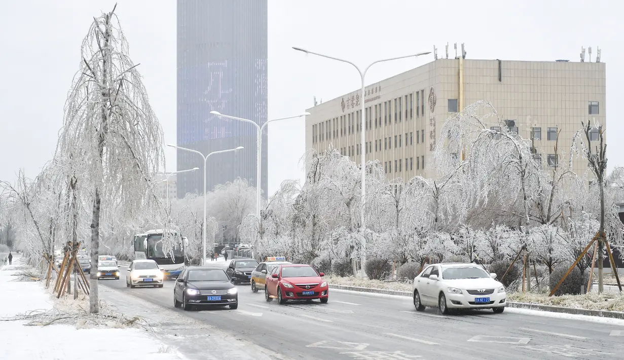 Sejumlah kendaraan melintas di sebuah jalan yang tertutup es di Changchun, Provinsi Jilin, China timur laut, pada 19 November 2020. Hujan lebat dan salju yang jarang terjadi disertai angin kencang melanda Changchun pada 18 dan 19 November. (Xinhua/Xu Chang)