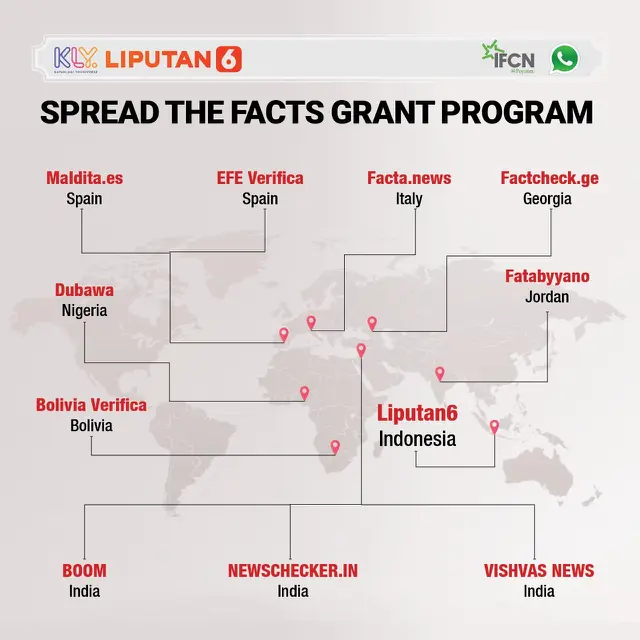 Cek Fakta grant