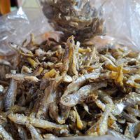 Menyelamatkan Ikan Bilih yang Sekarat di Danau Singkarak