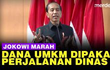 VIDEO: Jokowi Bongkar Akal-akalan Pejabat, Miliaran Dana UMKM Dipakai Jalan Dinas