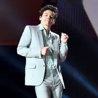 Harry Styles Victoria's Secret Fashion Show 2017 (Elle)
