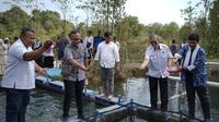GoTo Impact Foundation (GIF), bekerja sama dengan changemakers, pemangku kepentingan, dan masyarakat setempat menghadirkan inovasi "Berikanesia Lestari" di&nbsp; Pulau Belitung.&nbsp; foto:&nbsp; dok.&nbsp;&nbsp;GoTo Impact Foundation