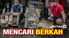 thumbnail lepas burung