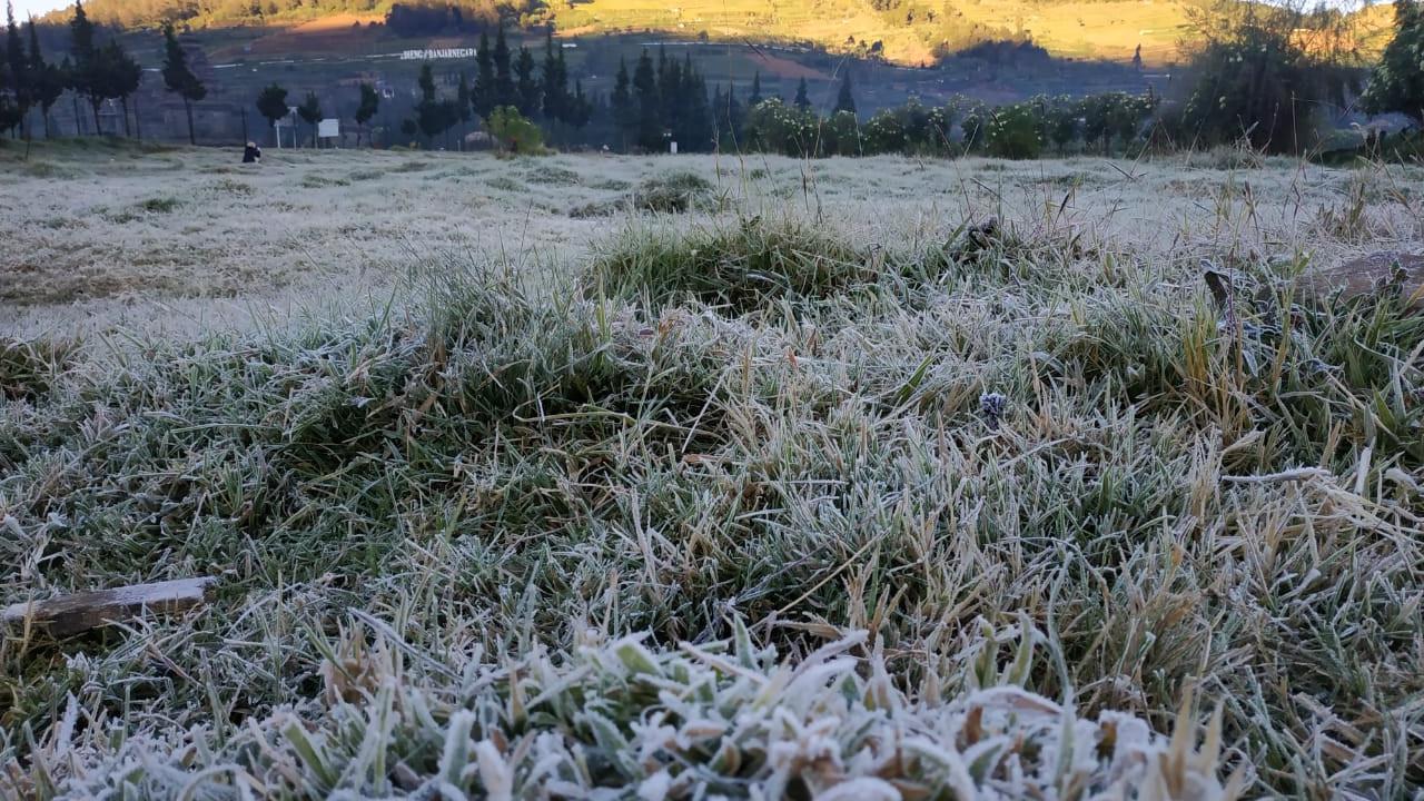 Embun es Dieng, Banjarnegara, Jawa Tengah, Senin pagi, 24 Juni 2019. (Foto: Liputan6.com/UPT Dieng/Muhamad Ridlo)