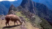 Lokasi wisata Machu Picchu di Andes, Peru. (BBC)