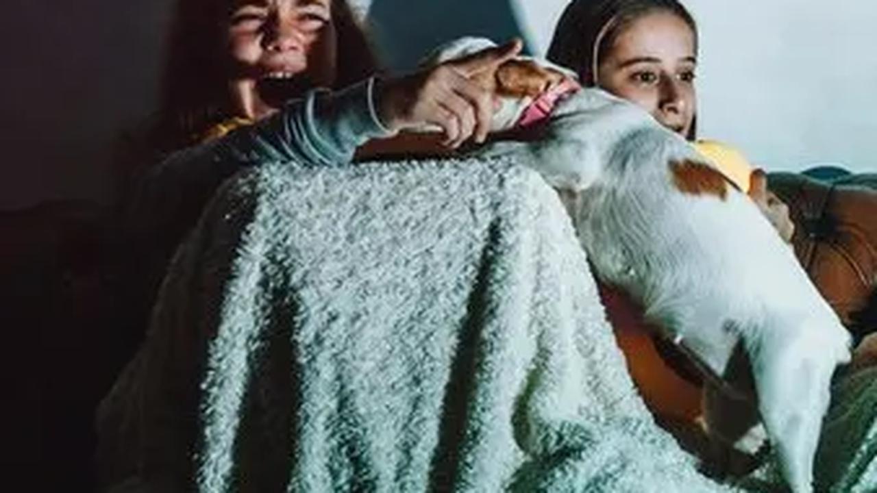 Menakjubkan! Manfaat Menonton Film Horor yang Jarang Diketahui