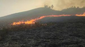 Bromo Kembali Terbakar, Kobaran Api Muncul di Area Dekat Bukit Teletubbies