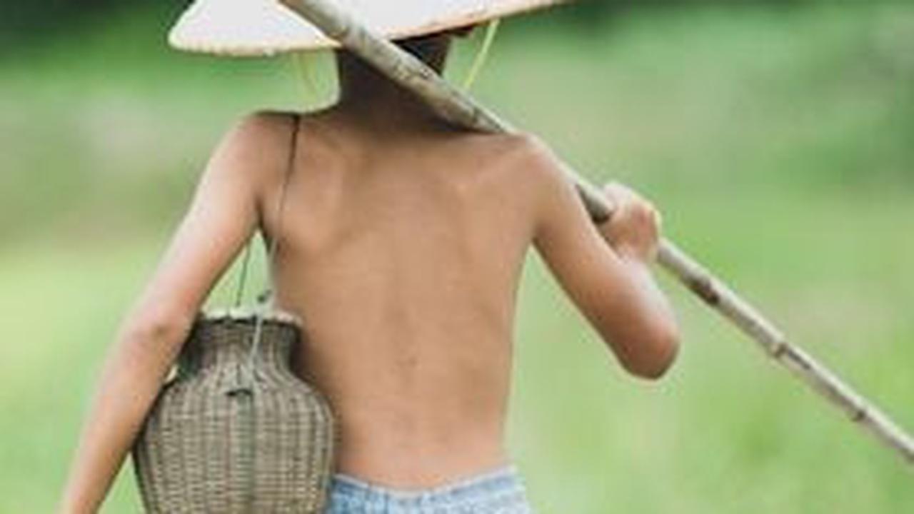 Sebagian besar warga desa ini berprofesi sebagai petani