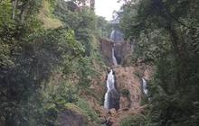 Melihat Pesona Curug Telu Kalices, Air Terjun Tiga Tingkat yang Letaknya Tersembunyi di Hutan Kendal