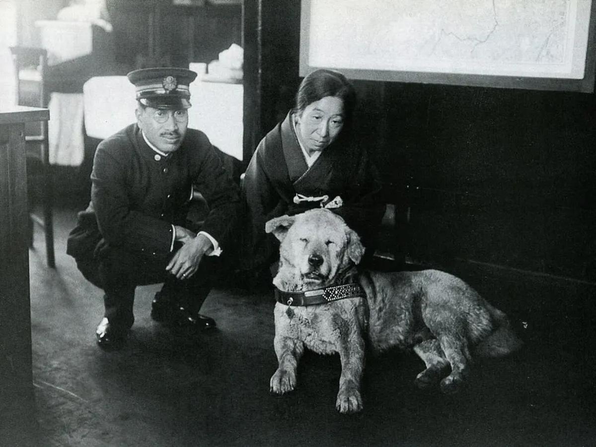1. Didirikan untuk Anjing paling Setia di Jepang