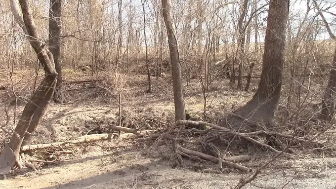 Bisakah Kamu Menemukan 2 Kamuflase 'Snipper' di Hutan Rimba Ini?