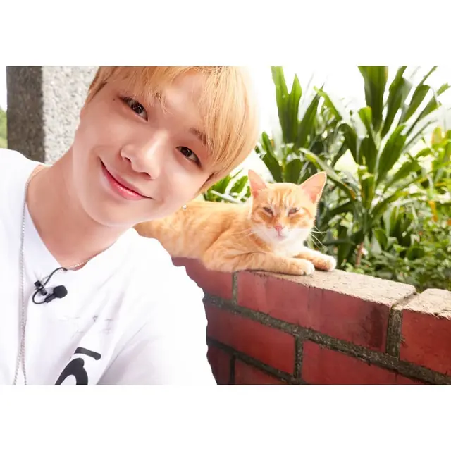 Kang Daniel (Instagram/ daniel.k.here)