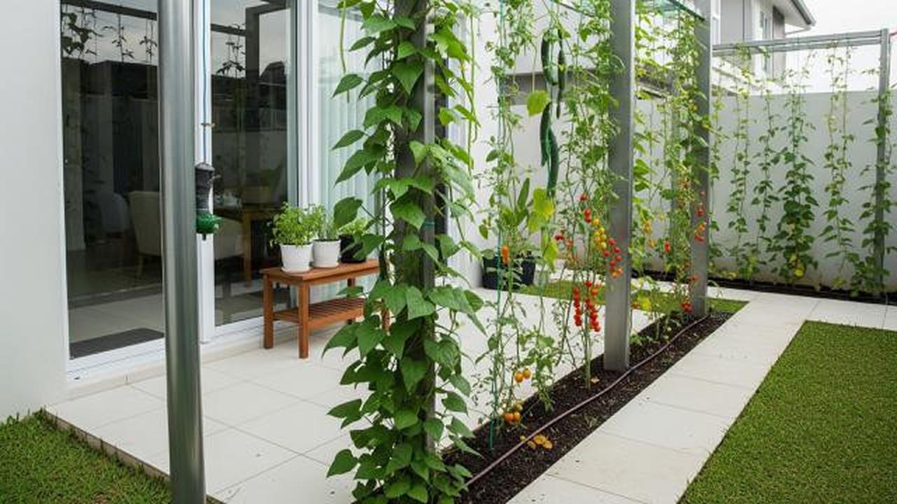 10 Konsep Kebun Rumah Campuran Tanaman Hias dan Sayur, Solusi Cerdas Lahan Sempit