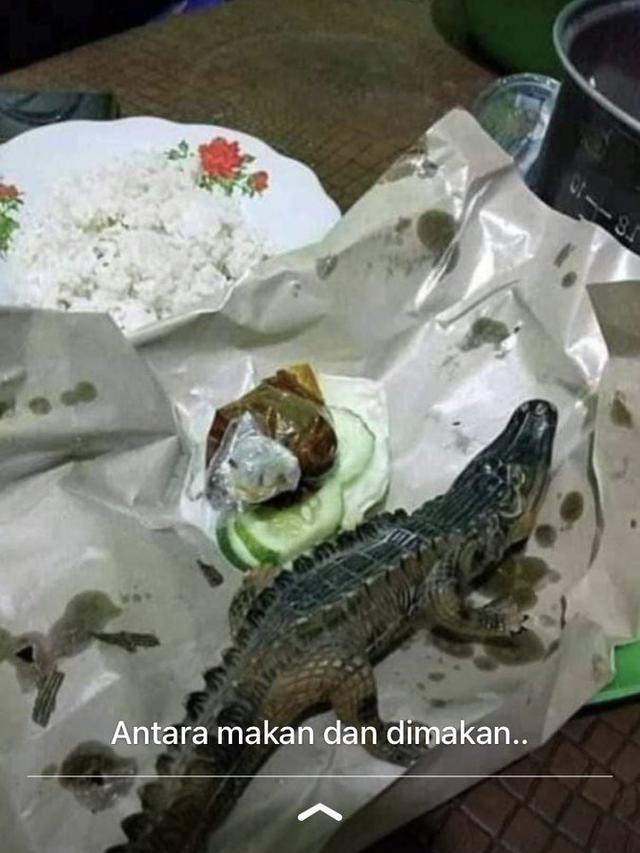 6 Menu Makan Pakai Lauk Mainan Bentuk Hewan Ini Bikin Elus Dada
