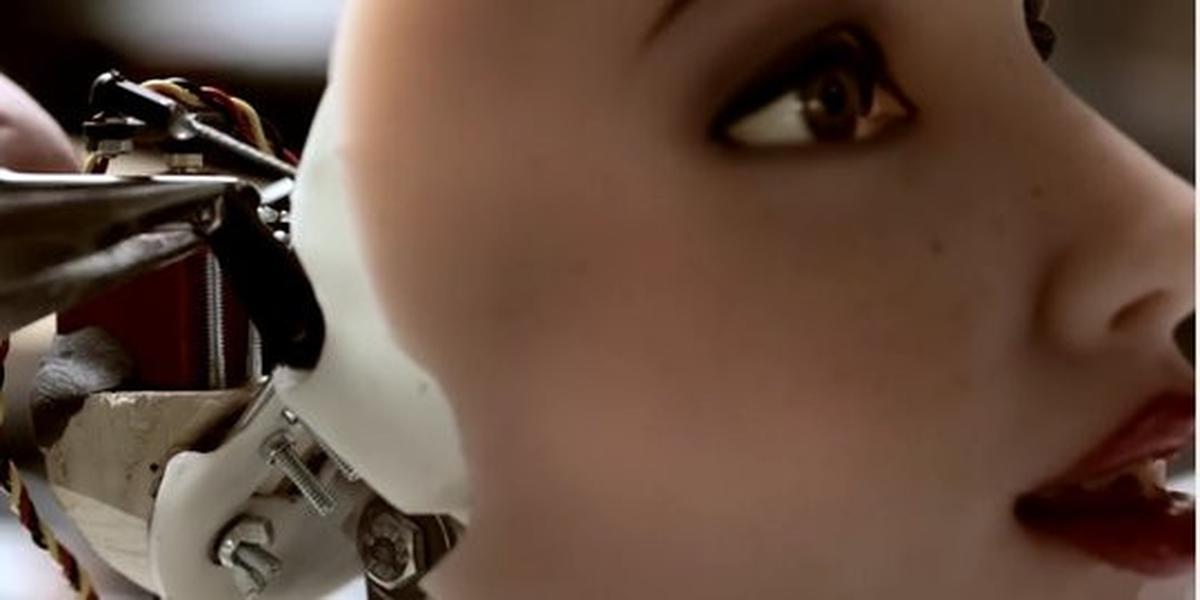 Robot sex bisa diberi kepribadian