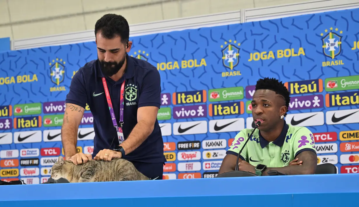 Seorang ofisial tim mengambil seekor kucing untuk diturunkan dari meja konferensi pers saat penyerang  Brasil Vinicius Junior berbicara pada sesi tanya jawab jelang Kroasia vs Brasil pada perempat final Piala Dunia 2022, di Stadion Al Arabi SC di Doha, Rabu (7/12/2022).  Kejadian ini diprediksi akan menjadi meme dan viral di media sosial. (NELSON ALMEIDA / AFP)