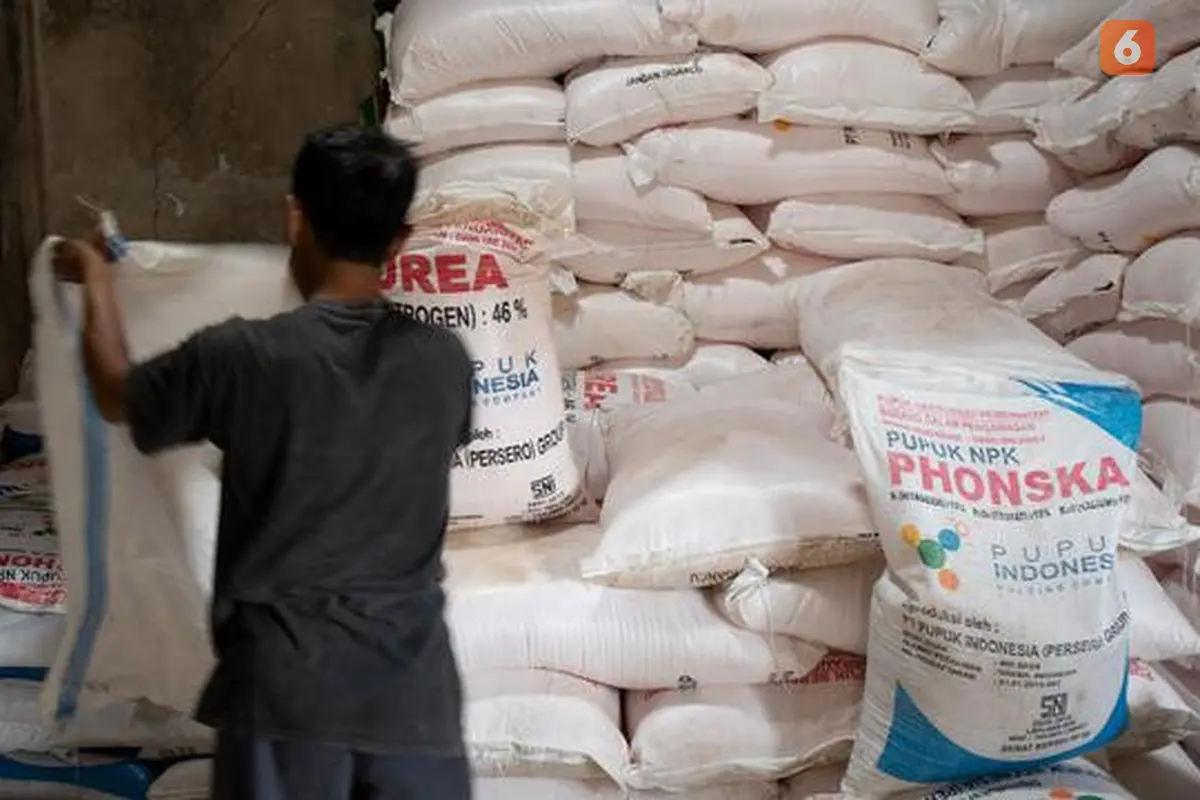 Pupuk bersubsidi di Kabupaten Ciamis. foto. Istimewa (Arfandi Ibrahim/Liputan6.com)