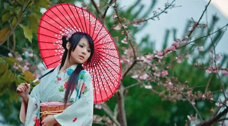 Baju kurung ala kimono hot sale