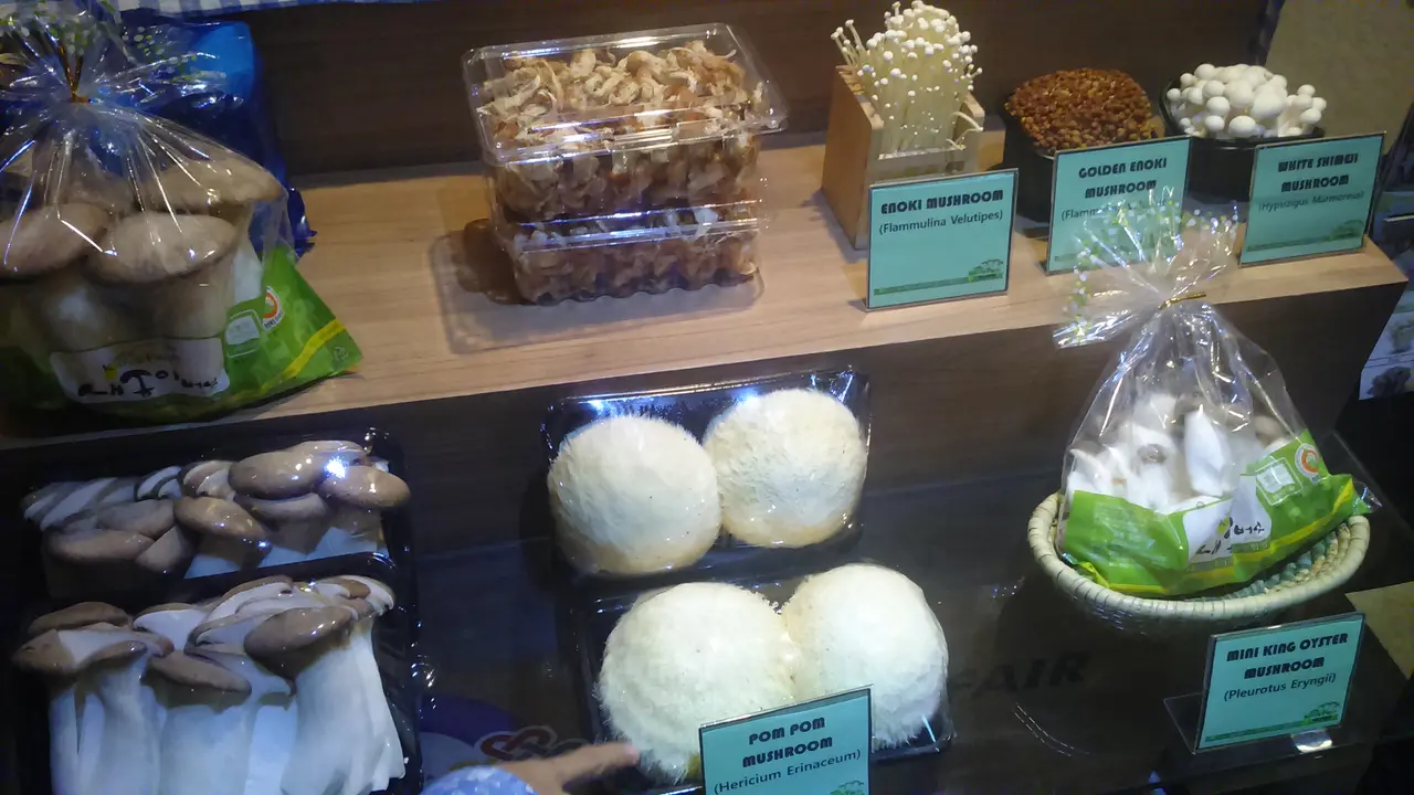 4 Manfaat Jamur Bokong Korea