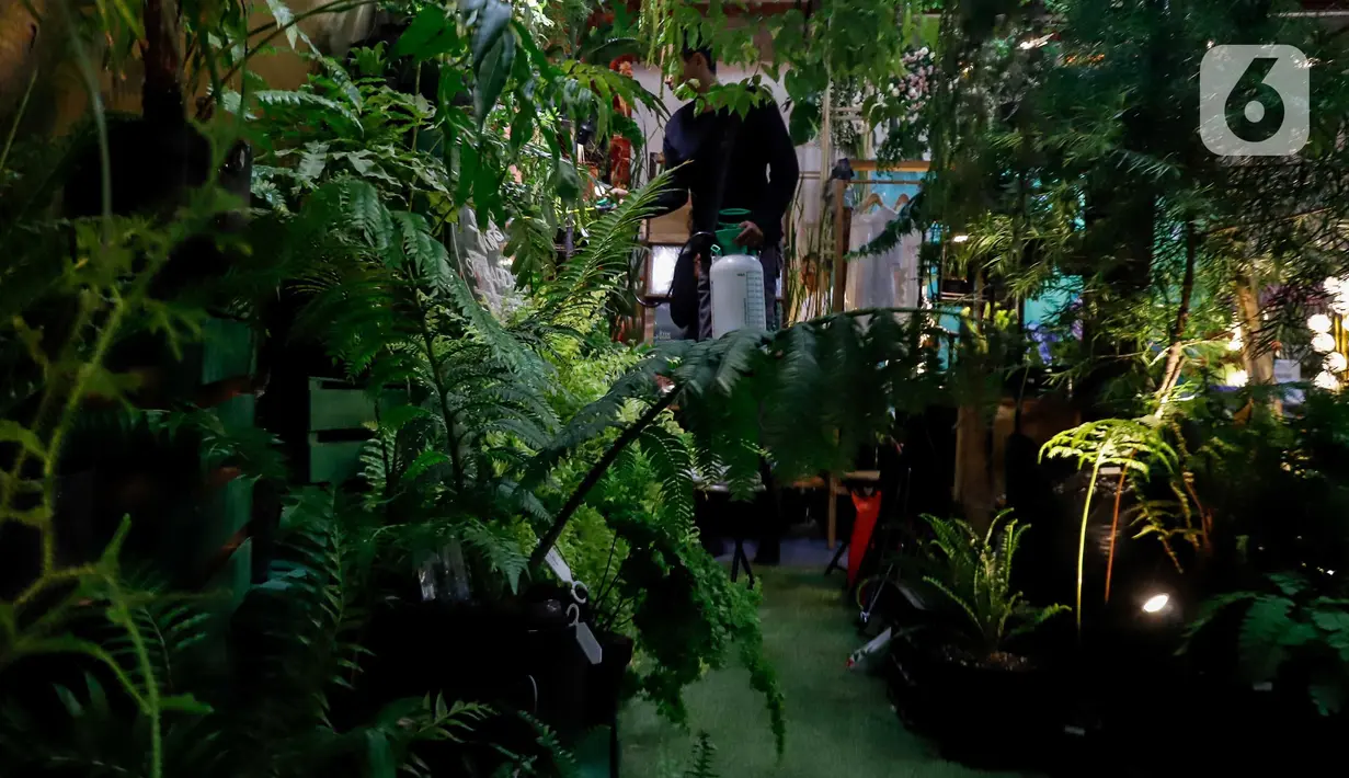 Warga mengunjungi aktivitas Festival Urban Farming 2025 di Gedung Nyi Ageng Serang, Setiabudi,, Jakarta, Sabtu (12/7/2025). (detikai.com/Herman Zakharia)