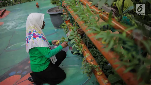 Balkot Farm, Percontohan Pertanian Perkotaan di Area Perkantoran