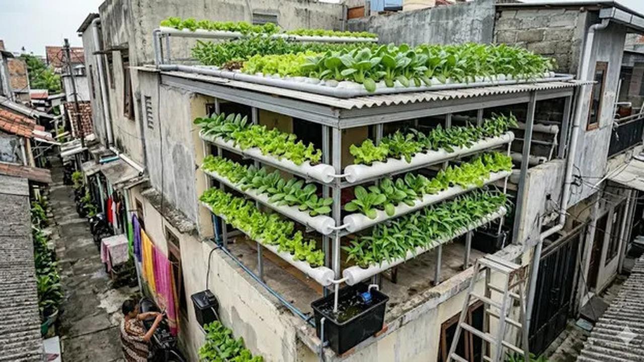 7 Inspirasi Kebun Mini Hidroponik untuk Rumah di Gang Sempit, Hijaukan Lahan Terbatas