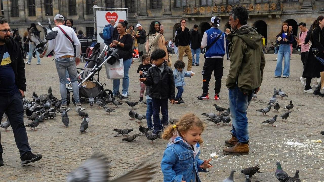 Salah satu landmark yang paling terkenal di Dam Square adalah Royal Palace of Amsterdam. Dibangun pada abad ke-17, istana ini dulunya merupakan markas dari penguasa Belanda. Sekarang, istana ini digunakan untuk acara-acara kenegaraan dan pameran seni yang