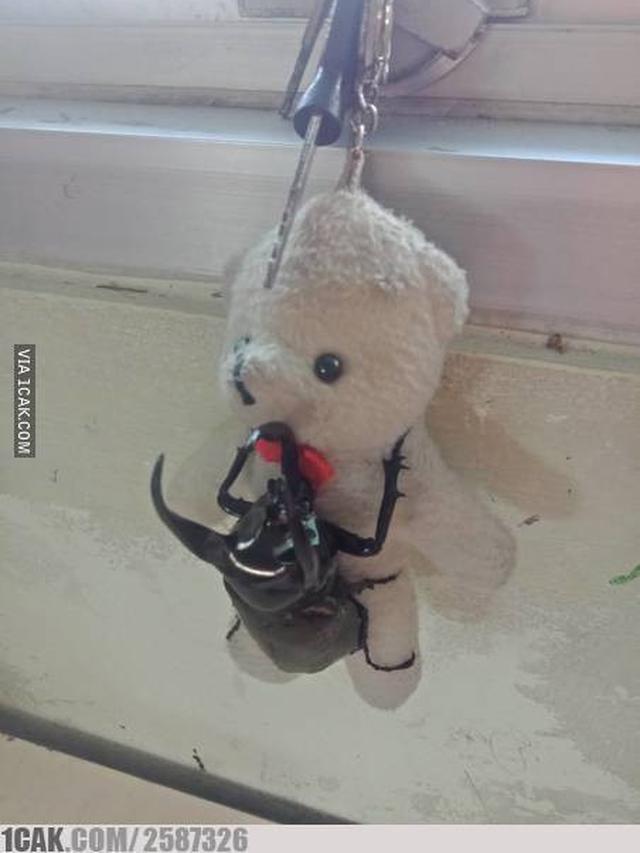 6 Boneka Nyeleneh Ini Bisa Jadi Suvenir Nikahan, Bentuknya Kocak