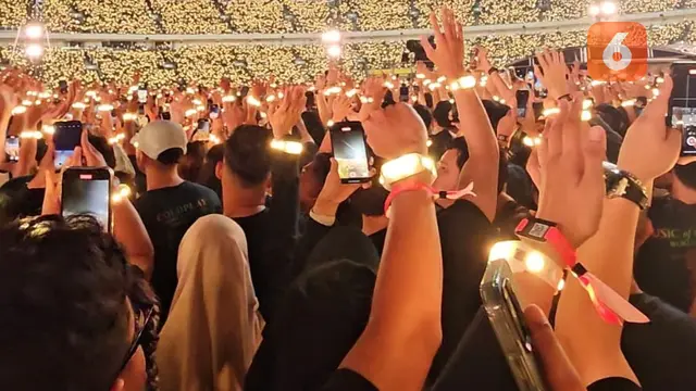 5 Fakta Tentang Xyloband