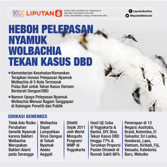 Infografis Heboh Pelepasan Nyamuk Wolbachia Tekan Kasus DBD. (Liputan6.com/Gotri/Abdillah)