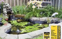 7 Desain Kolam Ikan Koi Ala Rumahan Beri Kesan Sejuk dan Adem