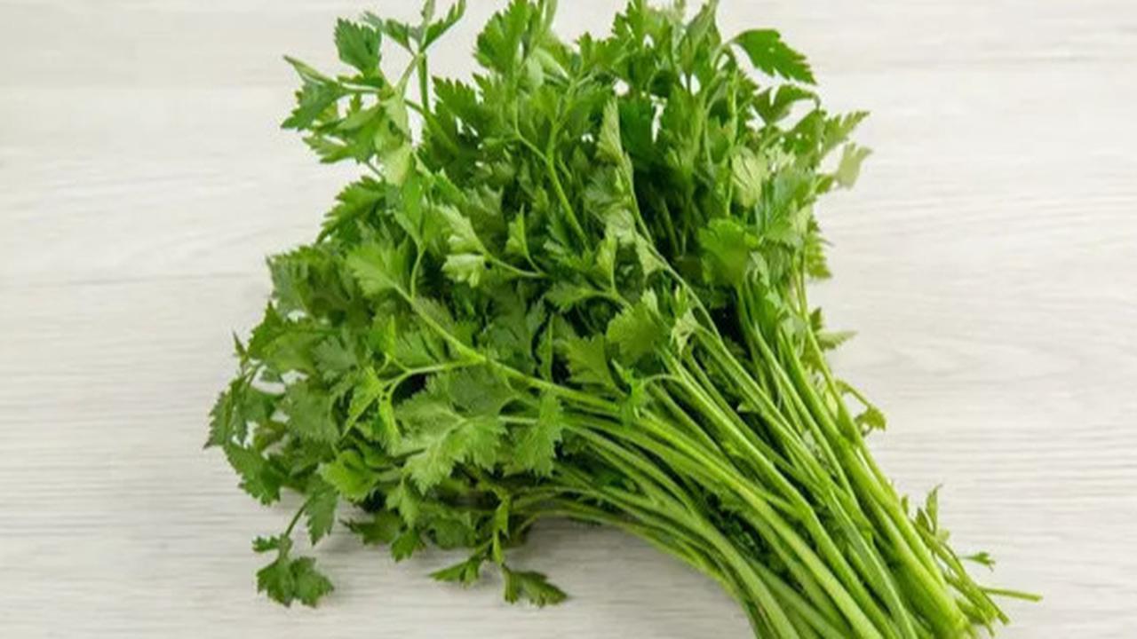 Rebusan Daun Seledri, Herbal Murah Meriah dengan Segudang Manfaat Kesehatan