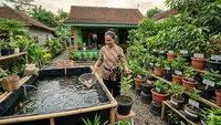 Peluang Usaha Ternak Ikan dan Tabulampot Tanpa Modal Besar, Raih Cuan dari Rumah