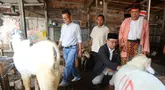 Bakal calon Gubernur Jakarta, Ridwan Kamil didampingi tokoh Betawi, Bang Idin saat melakukan blusukan ke Pasar Kambing Tanah Abang, Jakarta Pusat, Minggu (15/9/2024). (merdeka.com/Arie Basuki)