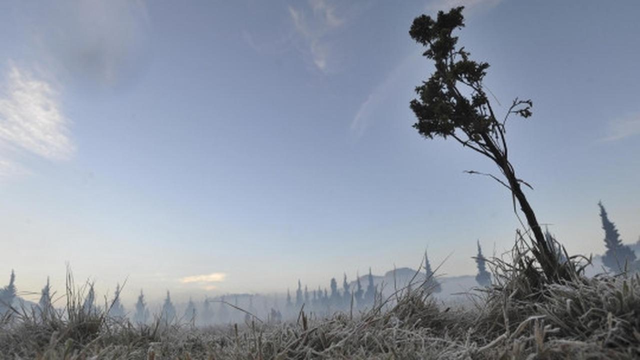 Dinginnya udara Dieng sampai embun berubah jadi es