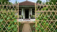 9 Inspirasi Pagar Bambu untuk Tanaman Timun Rambat di Desa, Estetik dan Fungsional