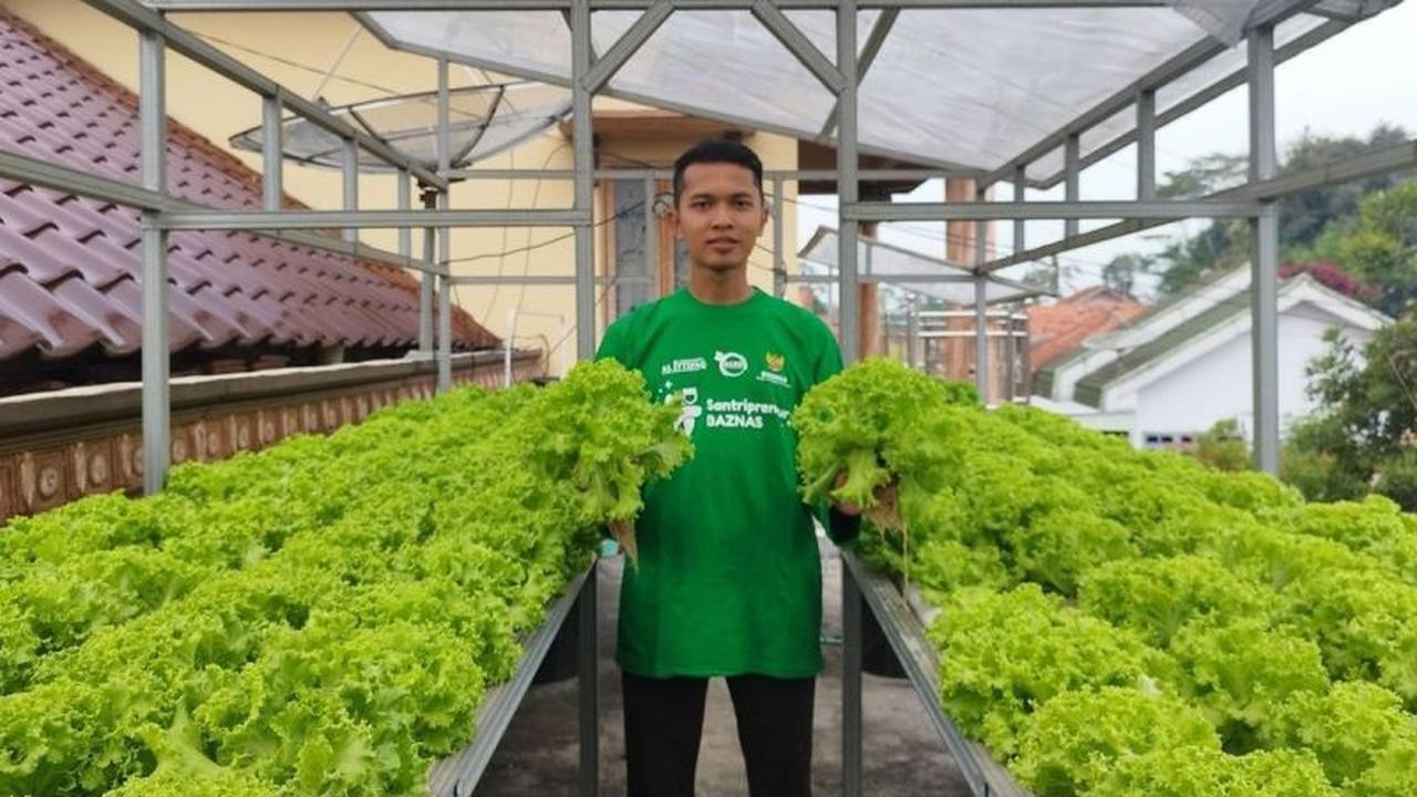 Dari Loteng Sempit, Pemuda Lumajang Wujudkan Kemandirian Pangan Hidroponik