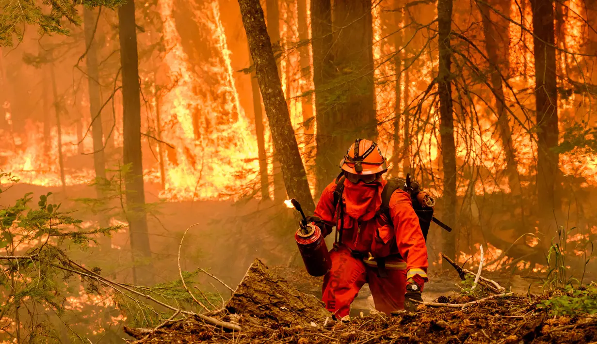Cal Fire menyebut Ini menjadi kebakaran hutan terbesar sepanjang 2024 dan yang terbesar keempat dalam sejarah California. (JOSH EDELSON/AFP)