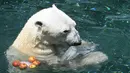 Beruang kutub jantan bernama Tongki diberi camilan sebongkah balok es di Everland Resort, Korea Selatan, Kamis (21/6). Akibat udara panas, pihak pengelola kebun binatang berinisiatif untuk memberi es krim pada beruang 23 tahun itu. (AFP/Jung Yeon-je)