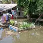 Banjir rob terjadi di Cilacap, Jawa Tengah. (Foto: Liputan6.com/BPBD Cilacap)