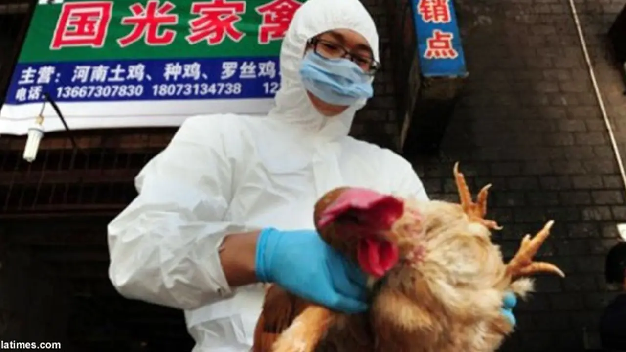 virus-cina130507c.jpg