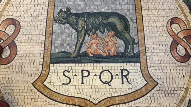 Terdapat tiga lambang pasukan kerajaan Italia di lantai  Galleria Vittorio Emanuele II, yakni Serigala Roma, Bunga Bakung Florence, dan banteng muda Torino.