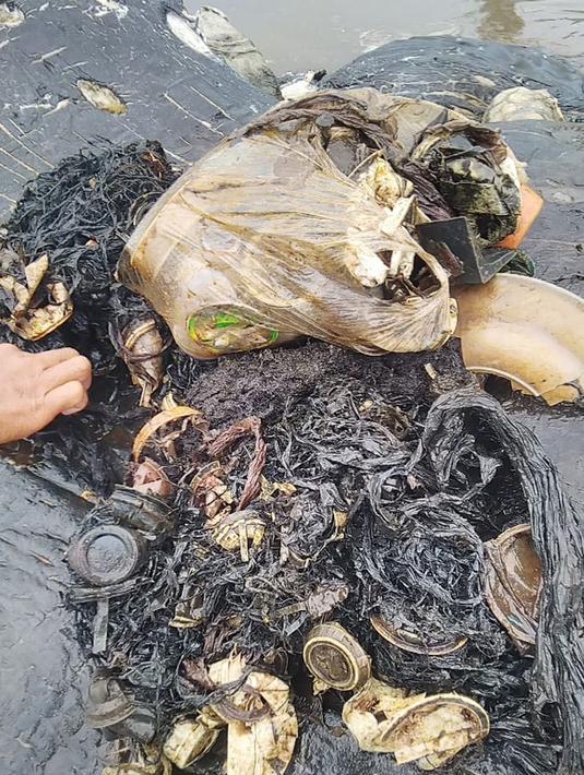 Tumpukan sampah yang ditemukan dalam perut bangkai paus sperma di perairan Wakatobi, Sulawesi Tenggara, Senin (19/20). Paus dengan panjang 9,5 meter itu ditemukan dalam kondisi sudah mati dan mulai membusuk. (Liputan6.com/HO/Alfi Kusuma Admaja/KKP)