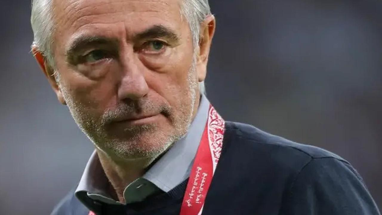Bert van Marwijk